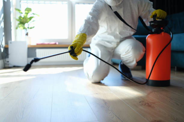 Reliable Odor Removal contractor in Mystic, CT by Trauma Clean Pros